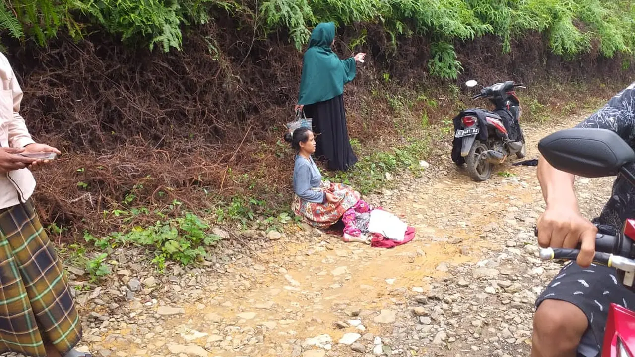 Ibu Melahirkan
