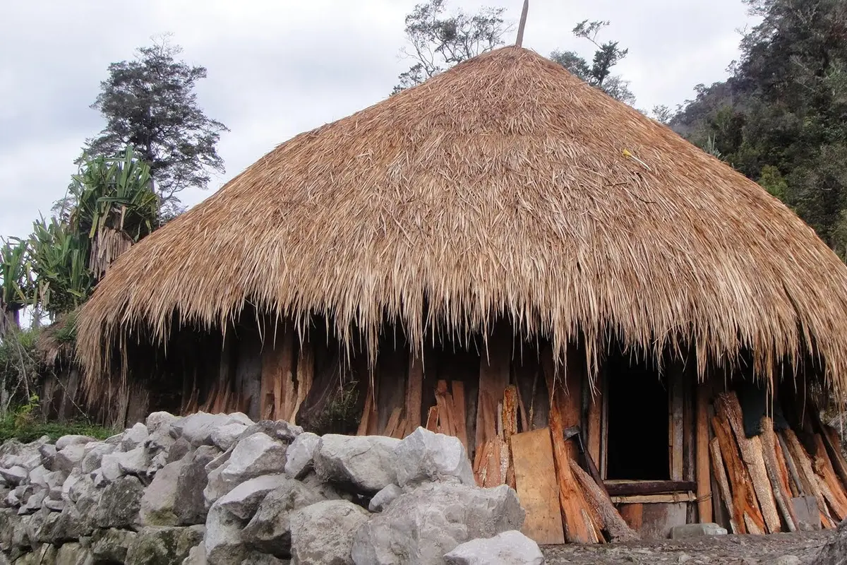 Uniknya Honai, Rumah Tradisional Suku Dani di Tanah Papua