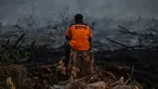 Petugas pemadam kebakaran beristirahat usai memadamkan kebakaran lahan gambut di Kampar, Riau, Senin (9/9/2019). Sulitnya sumber air di lokasi kebakaran menjadi kendala petugas untuk memadamkan bara api yang menghanguskan sedikitya lima hektare lahan gambut di kawasan tersebut.  (Wahyudi / AFP)
