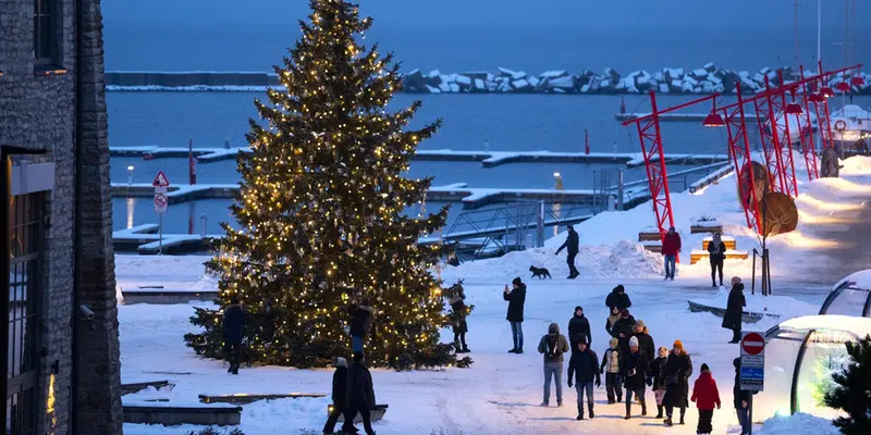 Pohon Natal Estonia