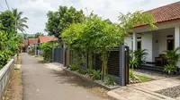 7 Inspirasi Pagar Besi dengan Bambu Hias agar Halaman Lebih Teduh, Desain Minimalis untuk Rumah Modern