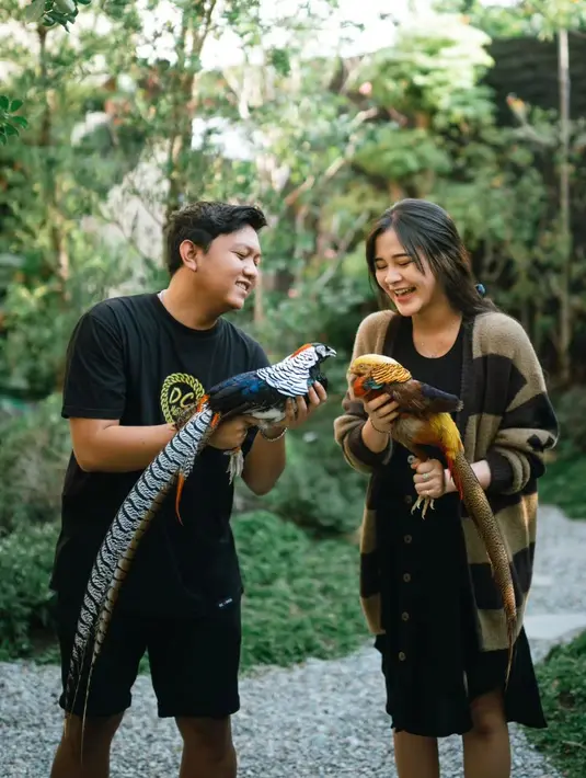 Bella ingin memegang harimau yang kecil. Tapi, ia tak mendapatkan izin suami karena sangat membahayakan. [Instagram/denny_caknan]