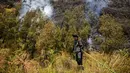 Petugas berupaya memadamkan kebakaran hutan di kawasan Taman Nasional Bromo Tengger Semeru (TNBTS), Kabupaten Probolinggo, Jawa Timur, Kamis (6/8/2026). (AFP/ Juni Kriswanto)