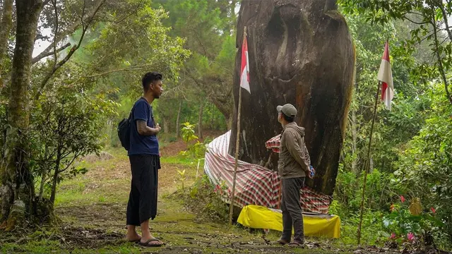 Bumi Nusantara