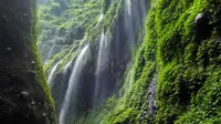 Air Terjun Madakaripura, Probolinggo, Jawa Timur. (adi_mrizal/Instagram)