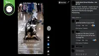 Gambar tangkapan layar&nbsp;video yang diklaim hewan 'sapi laut' terdampar di Bangkalan, Madura, Jawa Timur. (sumber: Facebook)