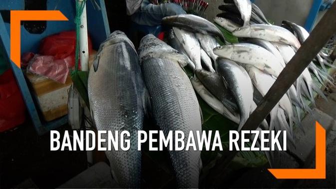 23+ Gambar Ikan Bandeng Lucu - Gambar Gokil dan Lucu