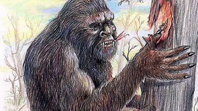 [Bintang] Bigfoot