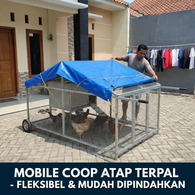 Kandang Ayam Mobile Coop dengan Atap Terpal (Gemini AI)