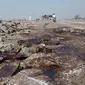 Tumpahan limbah minyak mentah mencemari pesisir pantai utara Karawang. Akibatnya selain warna air laut berubah, bau tak sedap juga tercium di pantai Cemarajaya hingga Sedari, Kecamatan Cibuaya, Karawang. (Liputan6.com/ Abremana)