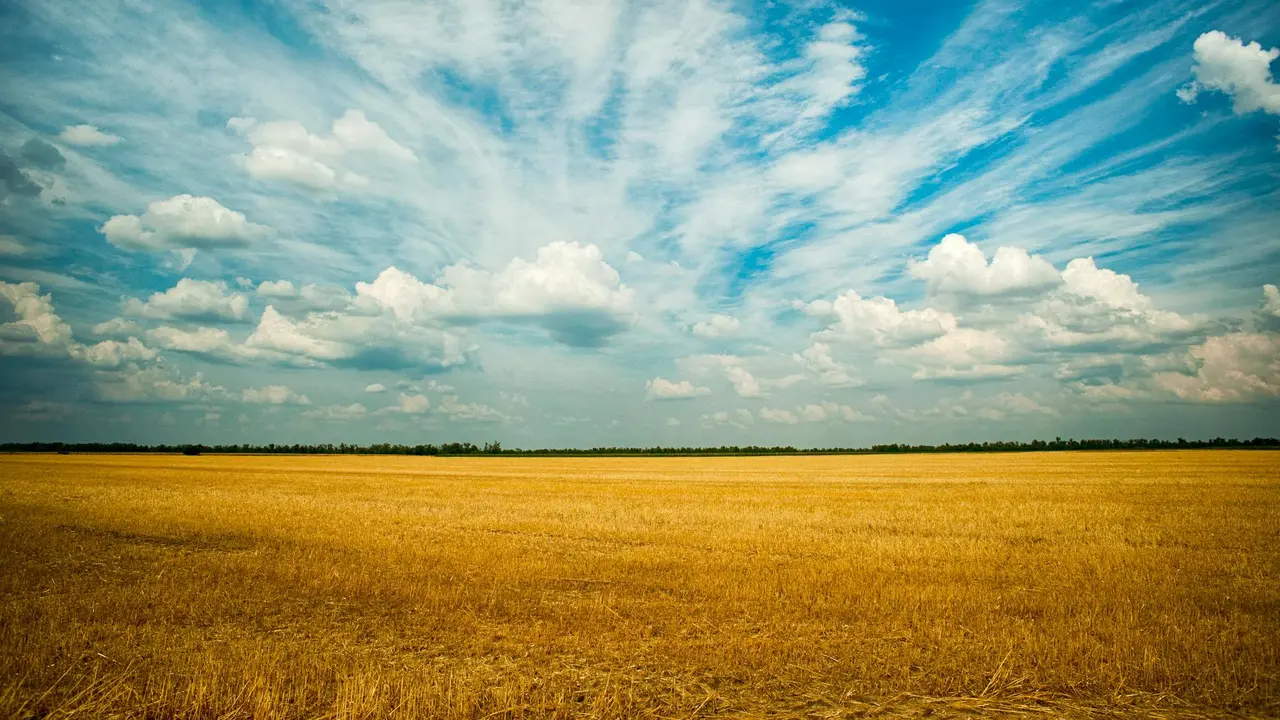 Sky