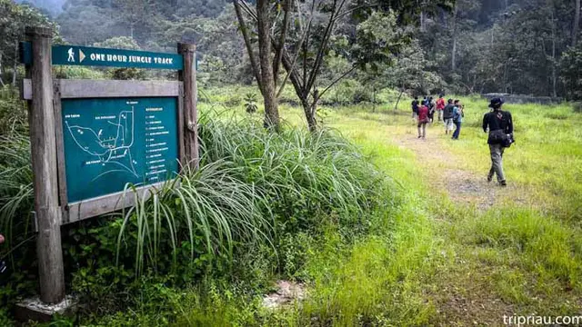 Liburan ke Riau, 10 Destinasi Wisata Ini Bisa Anda Nikmati