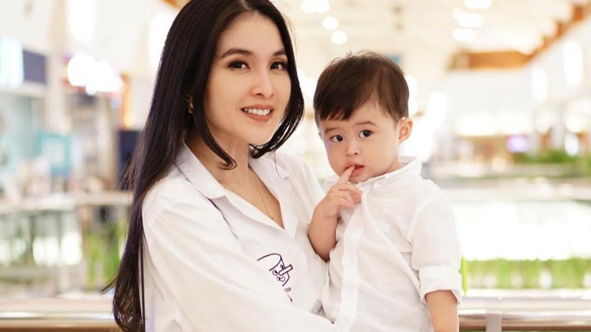 Anak Sandra Dewi dan Harvey Moeis Punya Jet Pribadi - Photo Fimela.com