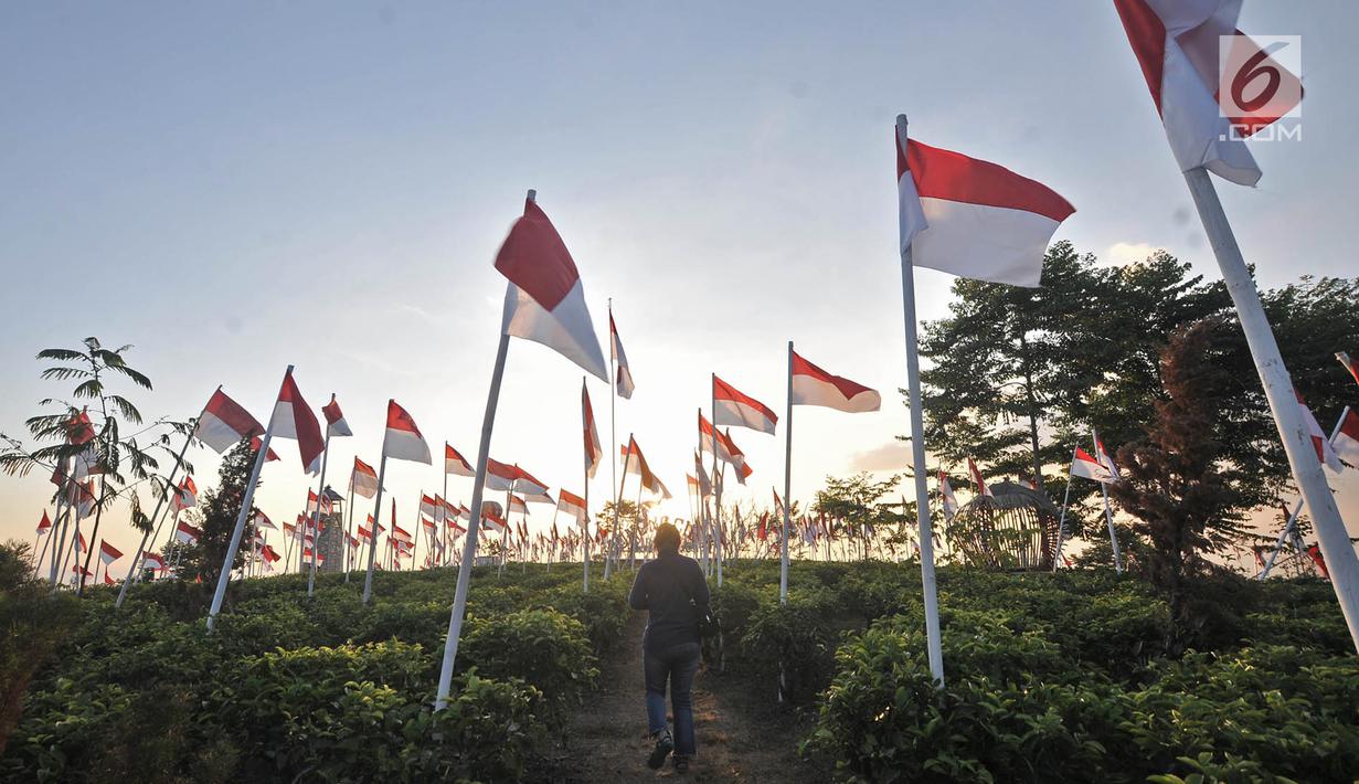 Foto 1 970 Bendera Merah Putih Berkibar Di Lereng Gunung Lawu News Liputan6 Com