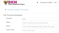 Lowongan di SSCN. Dok: SSCN