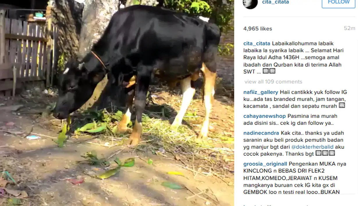 Pedangdut yang tengah naik daun, Cita Citata, rayakan hari raya Idul Adha dengan berkurban. (via instagram/@cita_citata)