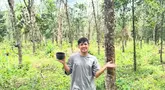 Dalam salah satu video, Jirayut juga membagikan suasana di area kebun. Jirayut berdiri di kebun karetnya yang luas. Latar belakang memperlihatkan puluhan pohon karet yang berjajar rapi. Langit yang cerah dan rumput hijau menambah kesan natural dan tenang.   (Liputan6.com/IG/@jirayutdaa4official)