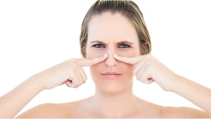 Courtesy ShutterStock.com