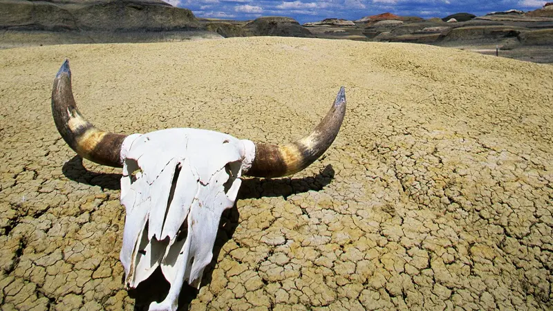 Death Valley