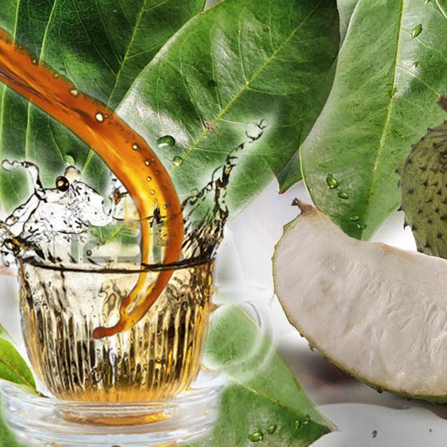 6 Manfaat Rebusan Daun Sirsak Salah Satunya Mengobati Kanker Kelenjar Getah Bening Lifestyle Liputan6 