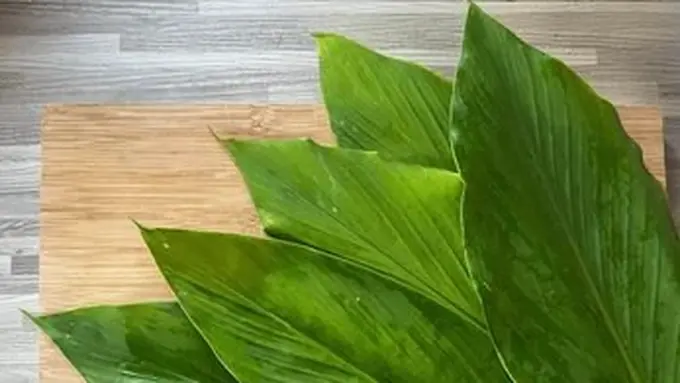 Daun Kunyit