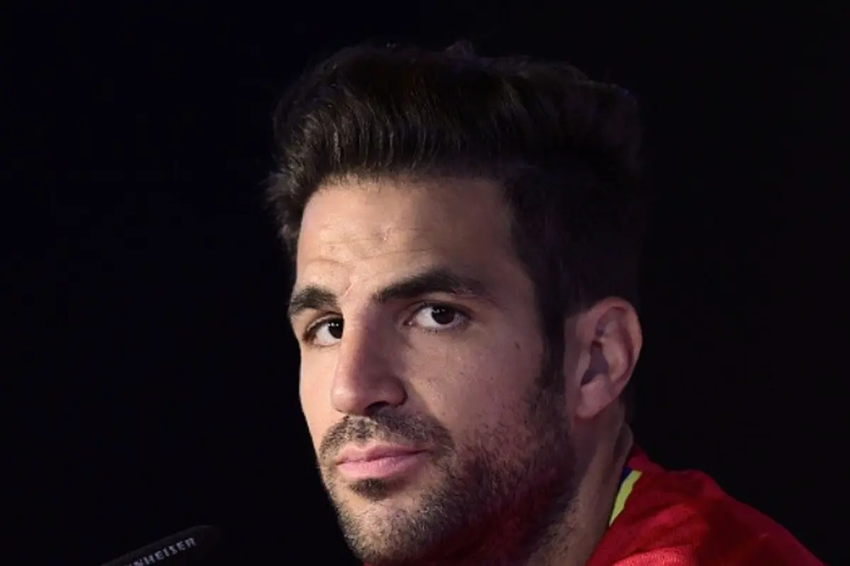 cesc fabregas