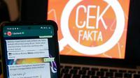 Chatbot WA Cek Fakta. (dok. KLY/Liputan.com)