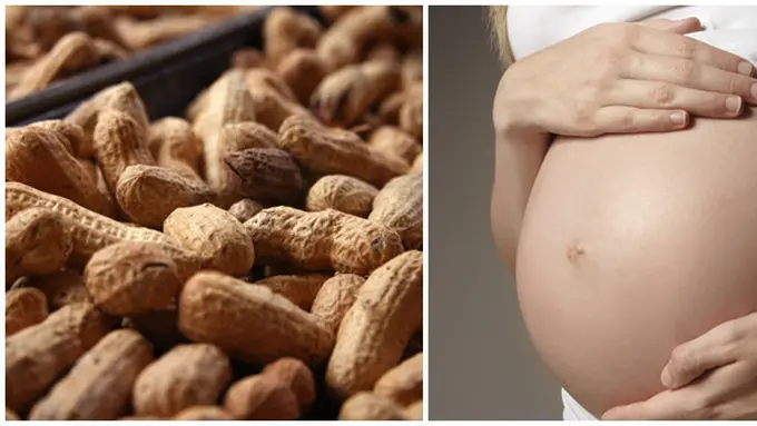 (c) thenondairyqueen.com, wordpress.com