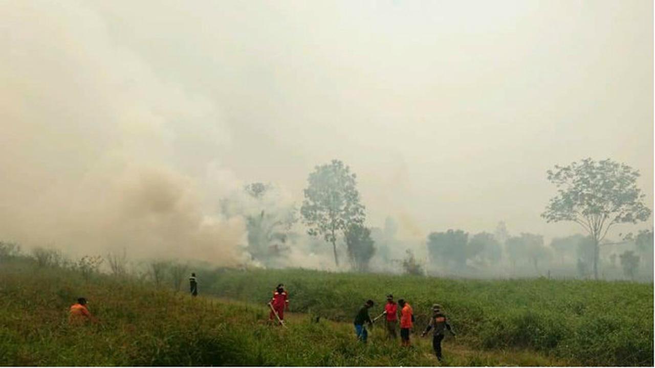Jarak Pandang di Pelalawan Hanya 800 Meter Karena Asap