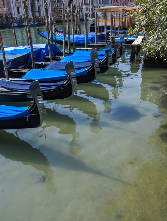 Perairan yang lebih jernih terlihat saat sejumlah gondola terparkir di Grand Canal Venesia pada 17 Maret 2020. Sejak Italia memberlakukan lockdown akibat pandemi virus corona, air di Kanal Venesia yang biasanya keruh dan gelap berubah menjadi jernih. (ANDREA PATTARO / AFP)
