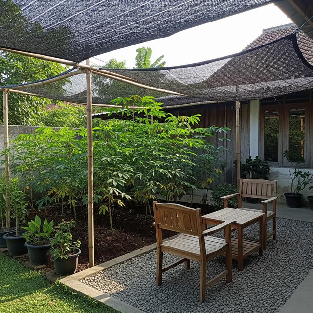 Desain Pekarangan Rumah untuk Menanam Singkong