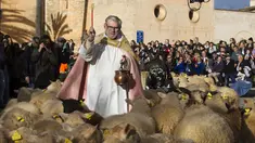 Seorang pendeta memberkati kawanan domba selama upacara tradisional 'Beneides' untuk memberkati hewan yang menandai hari Santo Antonius, santo pelindung hewan, di Muro, di pulau Balearic Spanyol, Selasa (17/1/2023). Pemilik hewan peliharaan berbaris di sekitar Gereja menunggu giliran pastur memercikkan air suci pada hewan mereka. (JAIME REINA / AFP)