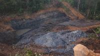 Lokasi bekas galian tambang batu bara ilegal di kawasan jalan poros Labanan–Kelay dalam area konsesi PT Berau Coal.