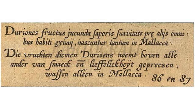 Durian 'Raja Buah' Dicatat dalam Naskah Kuno 430 Tahun Lalu, Ungkap Keistimewaan