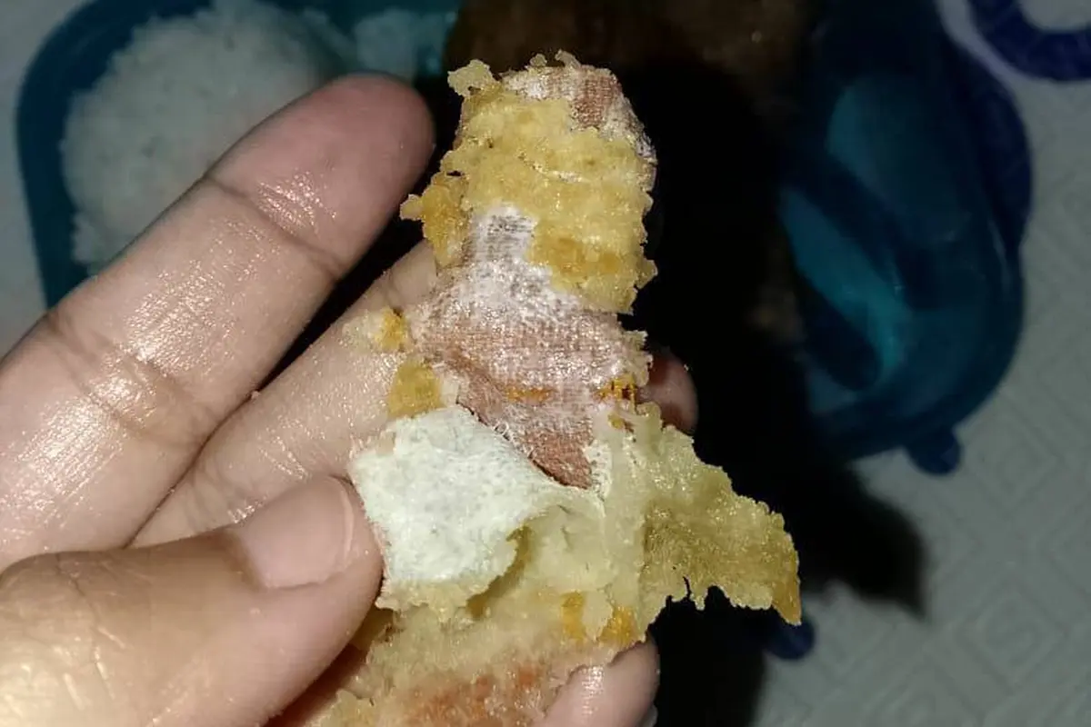 Viral Temuan Plester Bekas dalam Menu MBG di SD Sukabumi