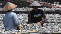 Waspada, Calo Patok Biaya Mahal untuk Perizinan Perikanan Nelayan