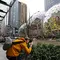 Alex Crook mengambil gambar kantor Amazon bernuansa hutan hujan yang baru, The Spheres, di Seattle, Senin (29/1). Di dalamnya dibuat seperti taman besar dengan ruang-ruang terbuka, sehingga tidak ada ruang konferensi yang tertutup. (AP/Ted S. Warren)