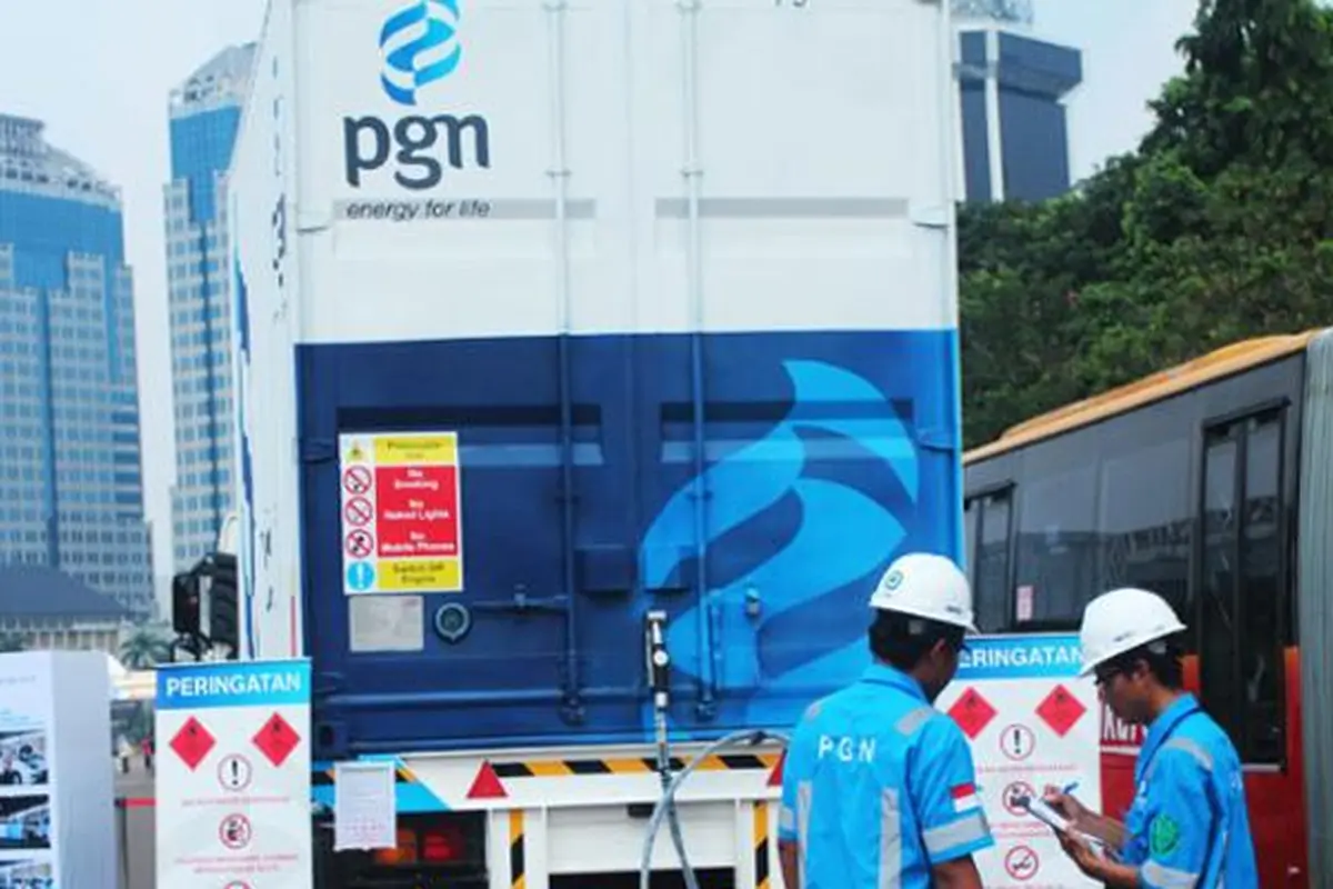 pgn-131229c.jpg