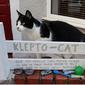 Kerap Curi Barang Tetangga, Kucing Klepto Ini Jadi Sorotan Netizen (sumber: Boredpanda)