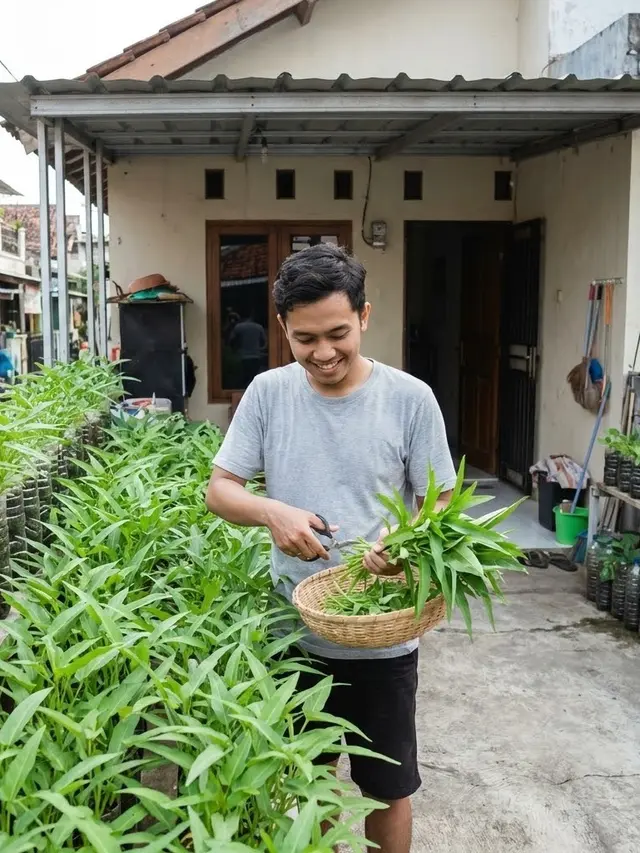 Cara Menanam Kangkung Air di Botol Bekas