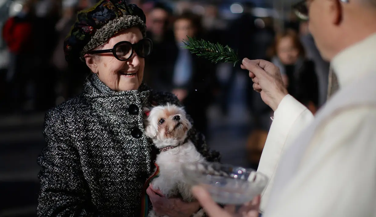 Seorang pendeta memberkati anjing saat upacara Saint Anthony di Madrid, Spanyol, Selasa (17/1). Saint Anthony adalah orang suci yang dianggap sebagai pelindung hewan di Gereja Katolik. (AP Photo / Daniel Ochoa de Olza)