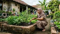 Cara Membuat Bedengan Sayur dari Bata Bekas Tanpa Semen, Ini 6 Langkah Mudahnya