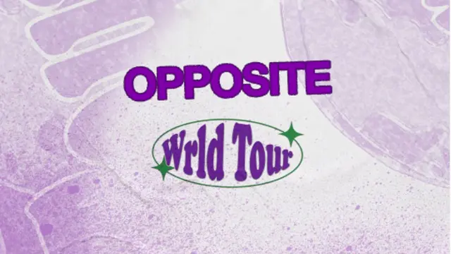 Koleksi Pakaian Opposite