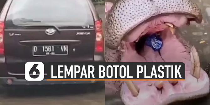 VIDEO: Viral Pengunjung Lempar Botol Plastik Ke Dalam Mulut Kudanil