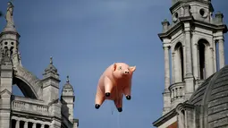 Balon udara berbentuk babi melayang di atas Victoria and Albert Museum di London, Inggris, Rabu (31/8). Balon babi berwarna pink milik Pink Floyd itu untuk mempromosikan acara "The Pink Floyd Exhibition: Their Mortal Remains". (REUTERS/Peter Nicholls)