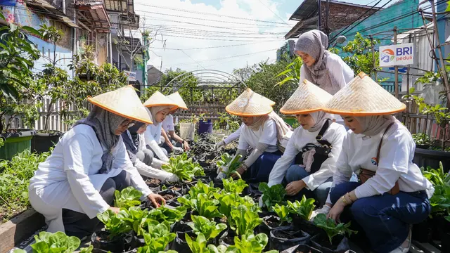    Peringati Hari Pangan Sedunia, BRI Peduli Ajak Warga Bandung Panen Bersama lewat Program BRInita 