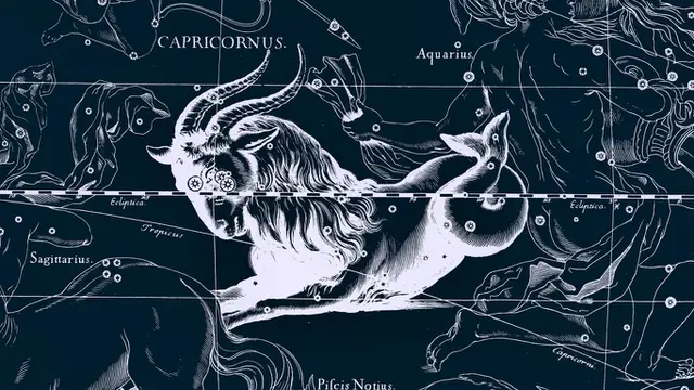 Capricorn