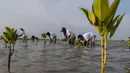 Hal itu dalam rangka peningkatan program enviromental social givernance (ESG) Project Balongan di pesisir pantai Kabupaten Indramayu. (Liputan6.com/Angga Yuniar)