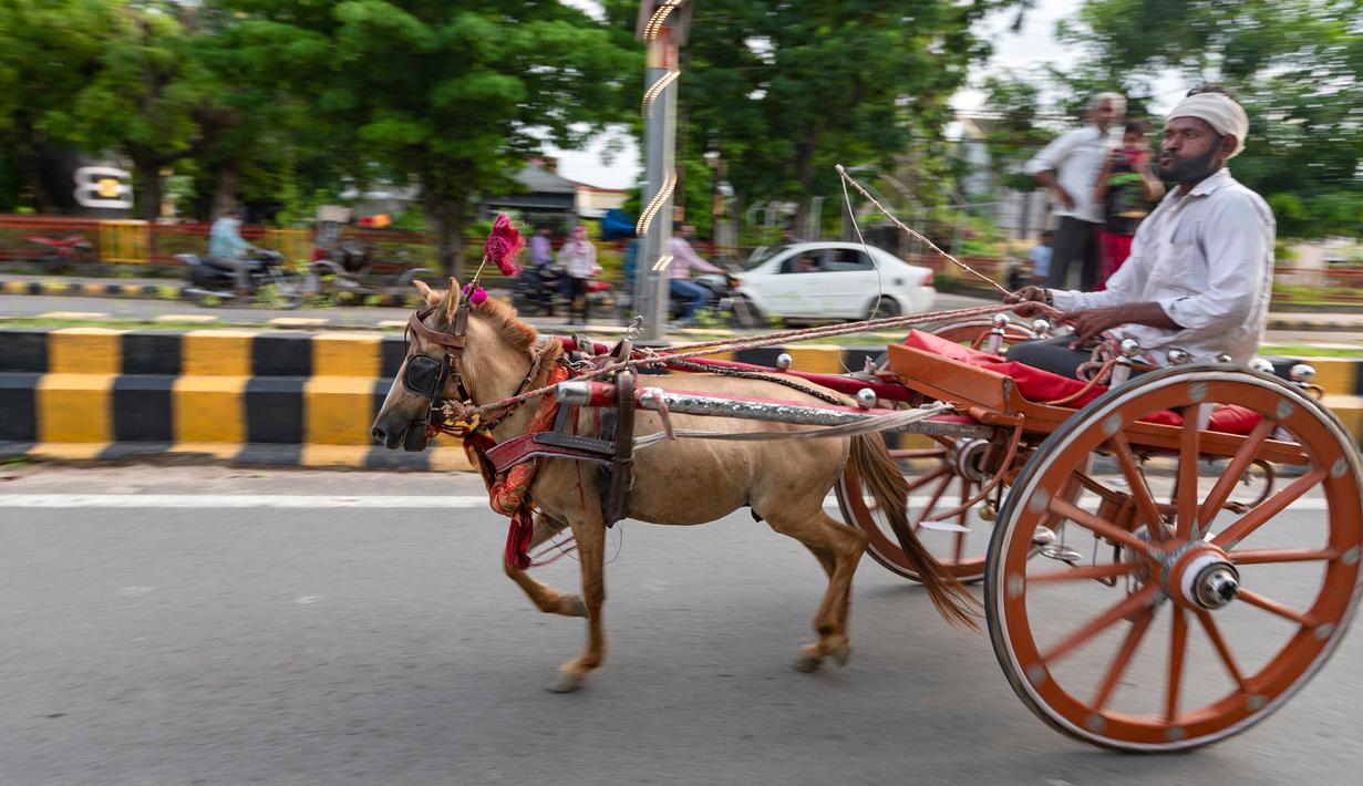 FOTO: Melihat Perlombaan Tradisional Balap Kereta Kuda di ...