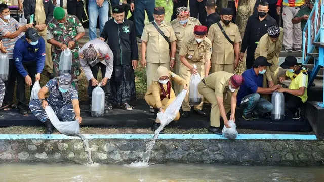 Bupati Banyuwangi Ipuk Fiestiandani (Tengah) menebar bibit unagi (oleng) di sungai Dam Limo Banyuwangi (Istimewa)